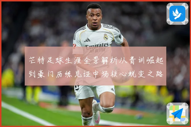 芒特足球生涯全景解析从青训崛起到豪门历练见证中场核心蜕变之路-深度解析
