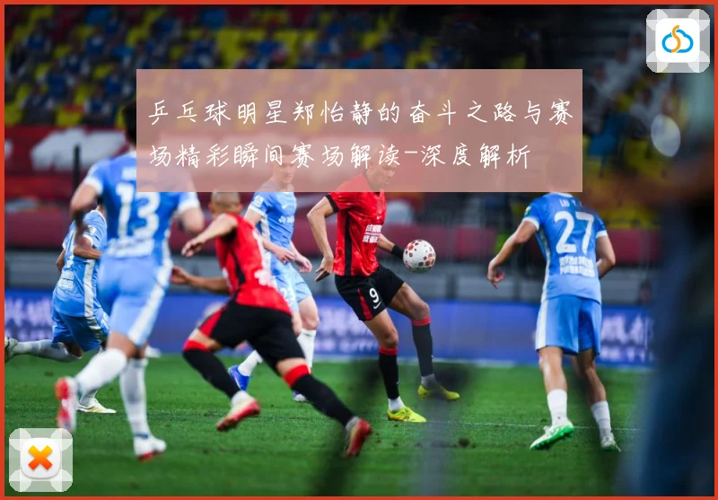 乒乓球明星郑怡静的奋斗之路与赛场精彩瞬间赛场解读-深度解析