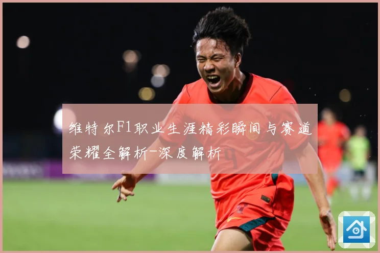 维特尔F1职业生涯精彩瞬间与赛道荣耀全解析-深度解析
