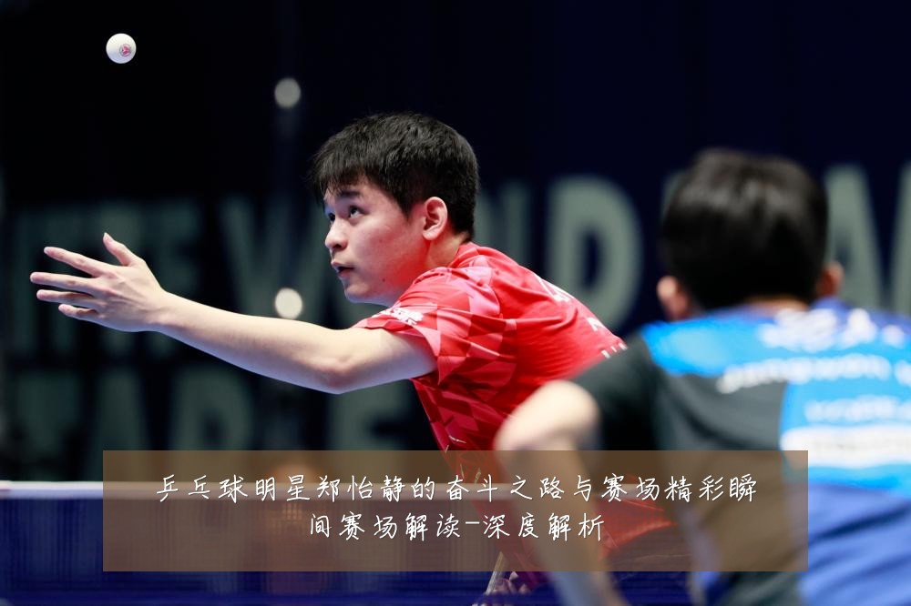 乒乓球明星郑怡静的奋斗之路与赛场精彩瞬间赛场解读-深度解析
