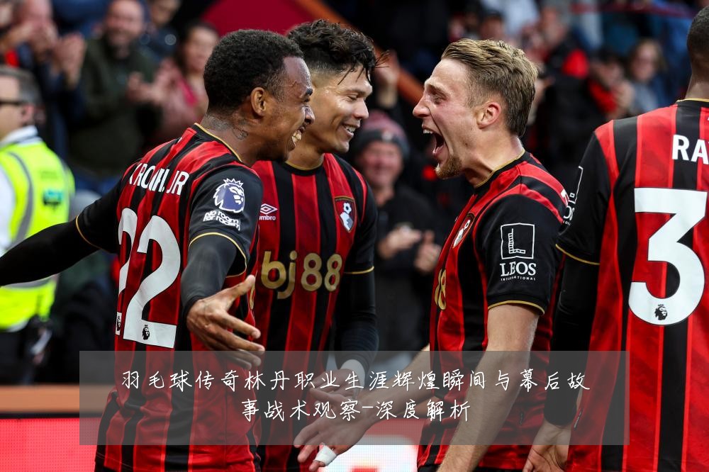 羽毛球传奇林丹职业生涯辉煌瞬间与幕后故事战术观察-深度解析